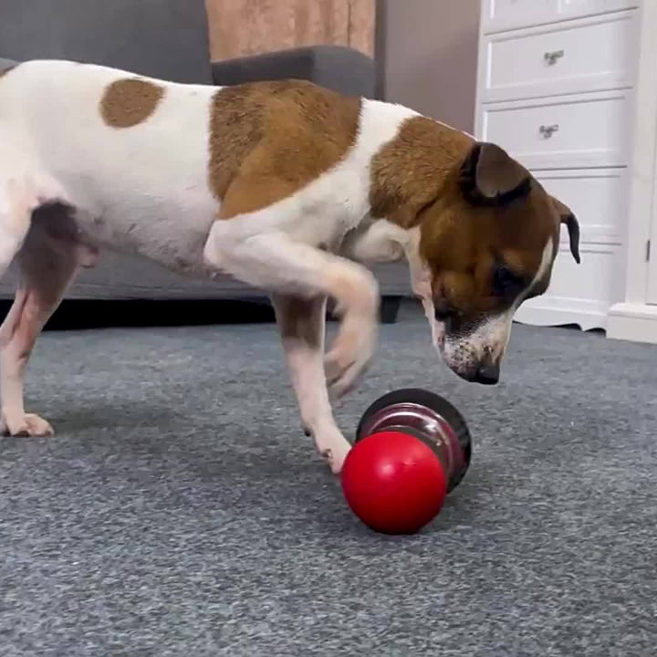 JMHUD Interactive Dog Puzzle Toy - Adjustable Treat Dispenser, Keeps Dogs Busy, Stimulates IQ, Slow Feeder for Boredom, Food Puzzle Ball for Puppy Training and Mental Stimulation