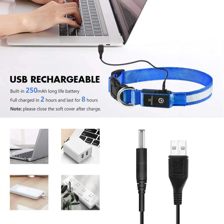 XS/M LED Dog Collar USB Rechargeable Light  Dog Collar Lights Adjustable Soft Safety Night Light Flashing 3 modes Pet Supplies