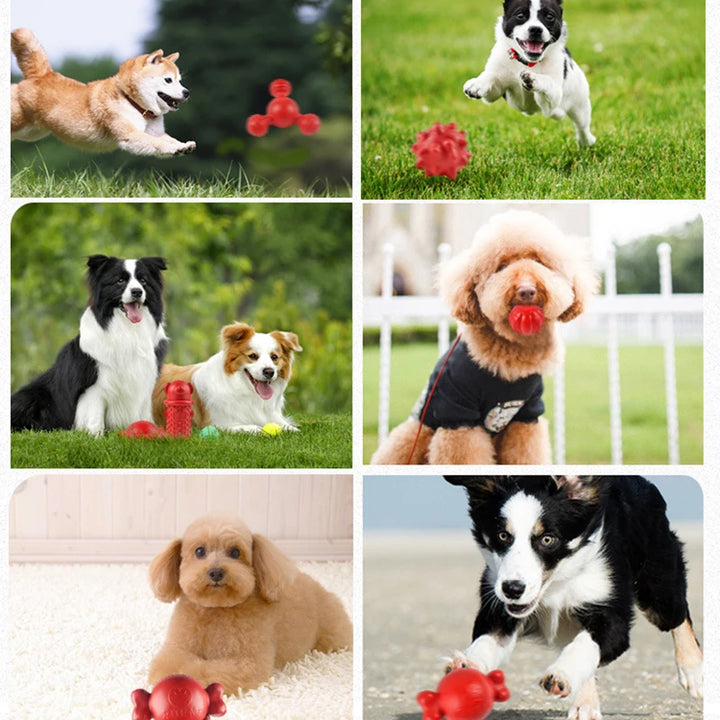 Bite Resistance Dog Chew Toys Multiple Styles Durable TPR Pet Toy for Small Medium Large Dogs Puppy Tooth Cleaning Supplies