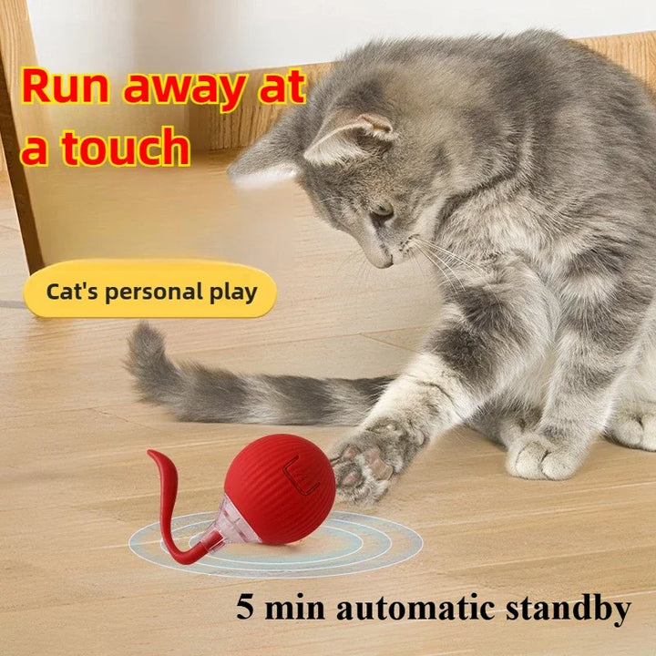 Automatic Rolling Ball Interactive Ball Cat Toys Pet Supplies Electric Dog and Cat Training To Imitate Rat Rechargeable Products